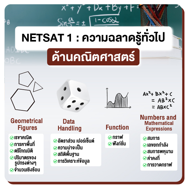 Netsat_เนื้อเว็บ-03.jpg