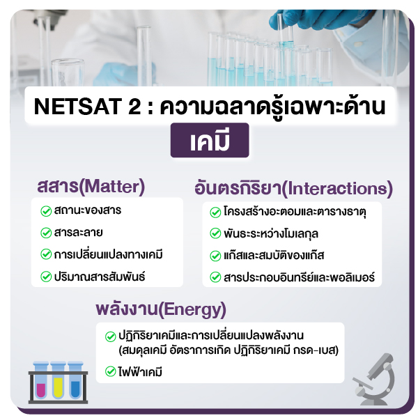 Netsat_เนื้อเว็บ-06.jpg