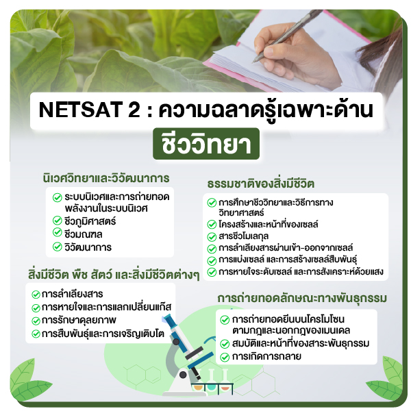 Netsat_เนื้อเว็บ-07.jpg